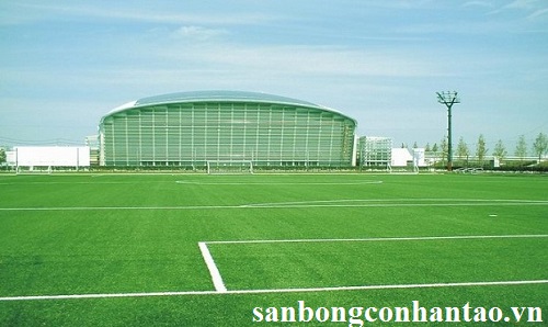 Địa chỉ bán cỏ nhân tạo sân bóng đá giá rẻ, chất lượng cao tại Hà Nội 